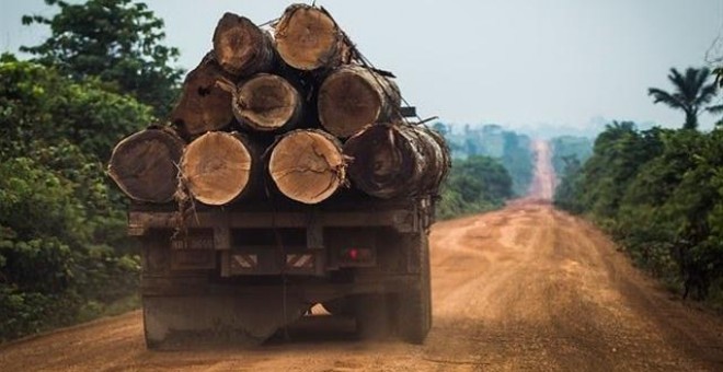 El Gobierno brasileÃ±o intenta desacreditar los datos que denuncian un aumento de la deforestaciÃ³n y no ofrece soluciones concretas | Greenpeace