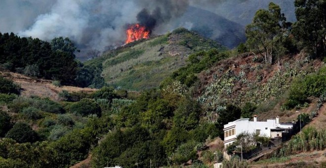 Uno de los fuegos en el incendio de Gran Canaria. EFE/Ángel Medina