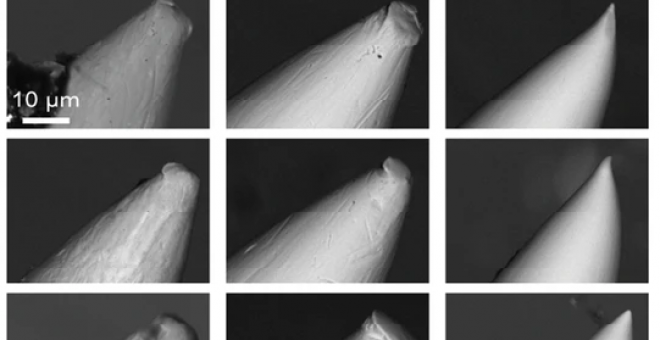 Desgaste de tres agujas de tatuar vistas al microscopio electrónico. A la izquierda nuevas, en el centro tras inyectar tinta de carbón y a la derecha muy afiladas por el dióxido de titanio.- ESRF