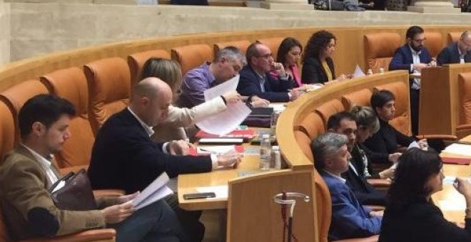 El Grupo Parlamentario Podemos La Rioja de la pasada legislatura. / Podemos La Rioja