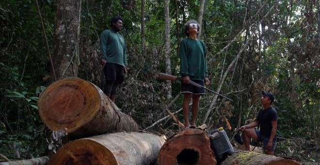 Un grupo de indígenas kayapo se paran en los troncos de los árboles que aseguran que talaron los madereros cerca de Novo Progresso, Brasil.- REUTERS/ Amanda Perobelli