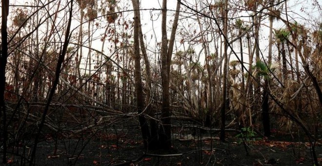 El Pantanal paraguayo, en las inmediaciones del centro biológico de Tres Gigantes, afectado por los incendios. / EFE
