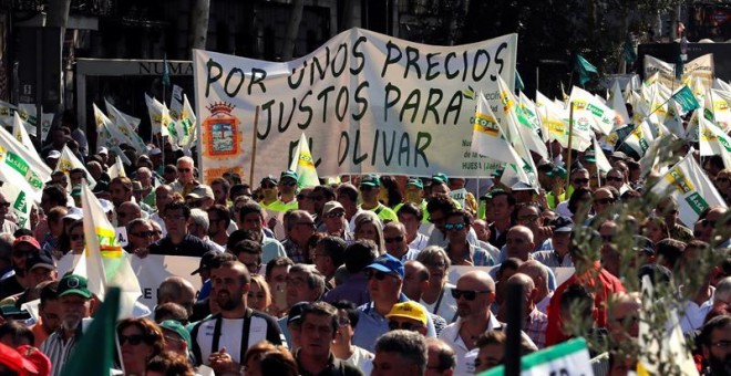 'Precios justos para un olivar vivo', el lema con el que los olivareros han recorrido las calles de Madrid./ Chema Moya (EFE)