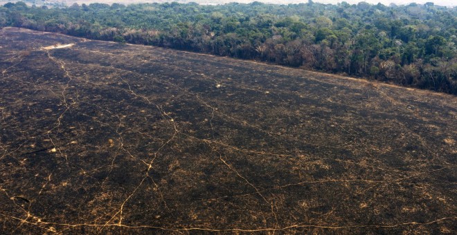 Así luce el suelo de la Amazonia en Porto Velho tras el paso de la deforestación y los incendios. / AFP
