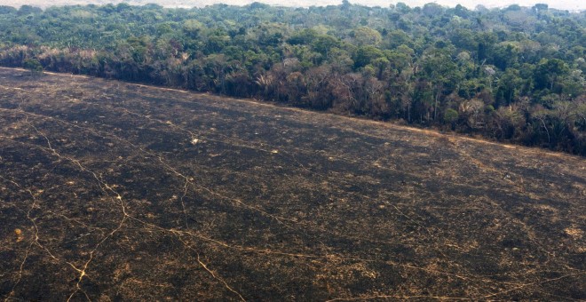 Así luce el suelo de la Amazonia en Porto Velho tras el paso de la deforestación y los incendios. / AFP