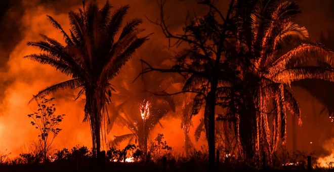 Los incendios en bosques vírgenes producen mayores cantidades de emisiones de efecto invernadero. / AFP