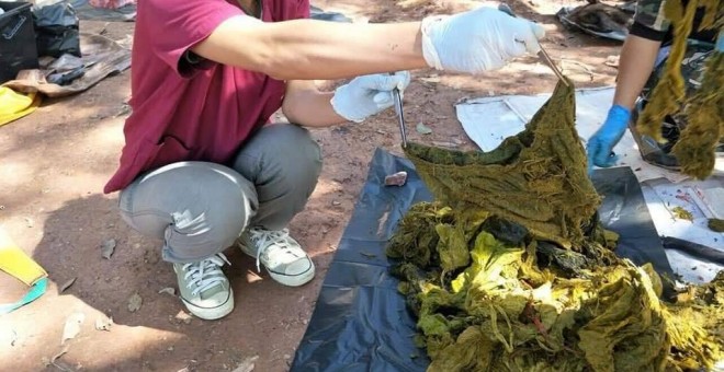 Siete kilos de basura en el estómago  de un ciervo en Tailandia. / FACEBOOK DEL DEPARTAMENTO DE PARQUES NACIONALES