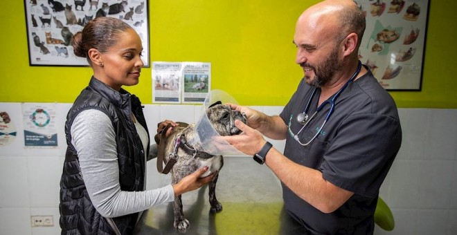 5/12/2019 - La visita de Tracy Sanyerr y su perro Belle a la consulta del veterinario en San Luis de Sabinillas (Málaga). / EFE - ROMÁN RÍOS