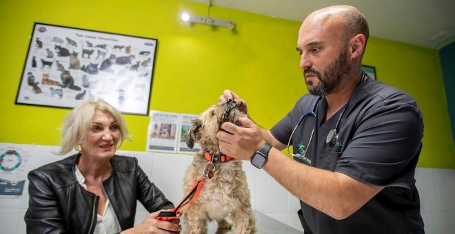 05/12/2019 - Natalia Schilling y su perra Lola en la consulta del veterinario en San Luis de Sabinillas (Málaga). / EFE - ROMÁN RÍOS