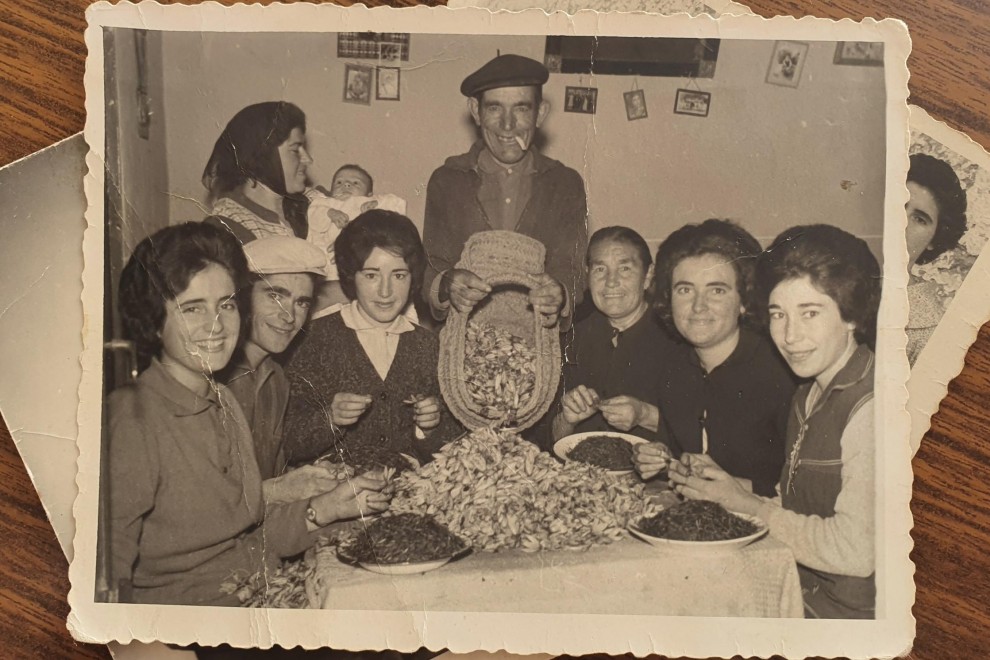 Imagen de la familia Candel Simarro en la monda del azafrán. - Cedida
