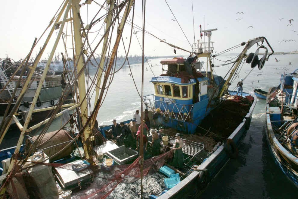 Un barco de pesca entra en el puerto de Laayoune, la principal ciudad del Sahara Occidental controlada por Marruecos.