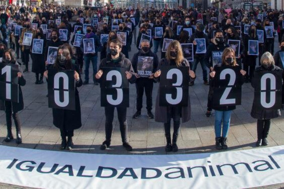 Activistas de Igualdad Animal en la Puerta del Sol