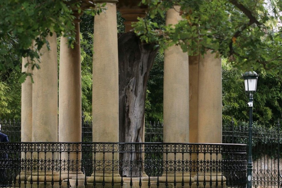 (5/09/2020) El árbol de Gernika, símbolo de las libertades vascas donde todos los lehendakaris han jurado el cargo, durante la toma de posesión de Iñigo Urkullu en septiembre de 2020.
