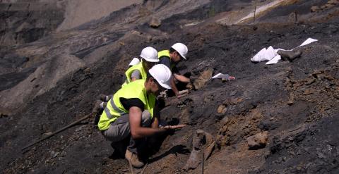 Excavación de fósiles en la mina Santa María, en Ariño. /FUNDACIÓN DINÓPOLIS