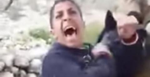 Captura del vídeo del palestino atacado por un perro