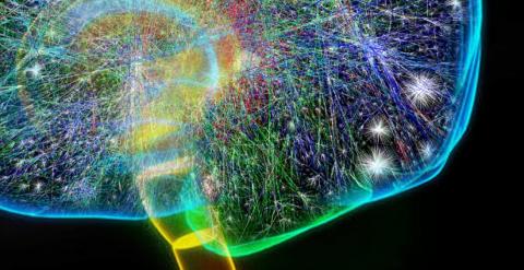 Ilustración de las conexiones entre neuronas en un cerebro. /HOLLY WILDER/USC