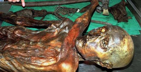 Extraen de Ötzi las muestras más antiguas de glóbulos rojos. /HO NEW-REUTERS