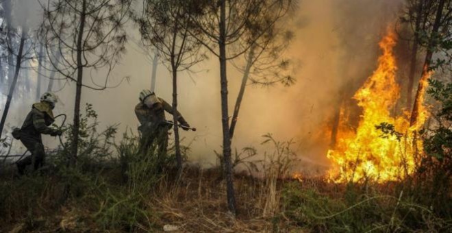 Brigadistas realizan labores de extinción del incendio a las afueras de Orense./ EFE