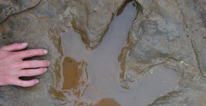 Una de las huellas de dinosaurio descubierta en Alemania.
