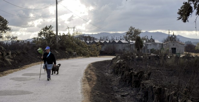 Un hombre y su perro camina por una zona afectada por el incendio forestal de Cualedro (Ourense), que arrasó 3.000 hectáreas de cuatro municipios de la provincia .- EFE/BRAIS LORENZO.