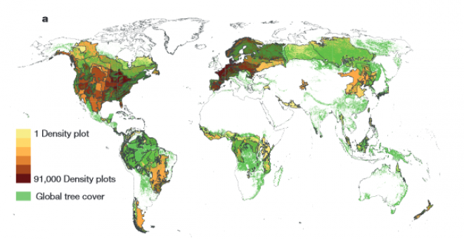 Mapa de la densidad forestal mundial. / Thomas Crowther et al.