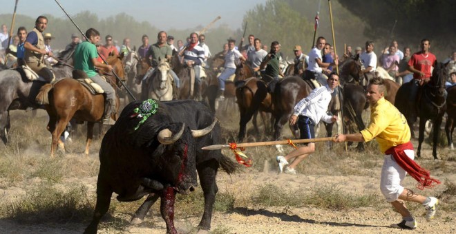 Toro de la Vega, en 2011./ EFE