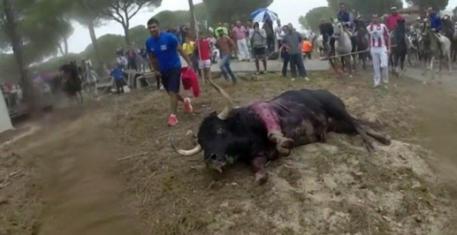 Toro de la Vega