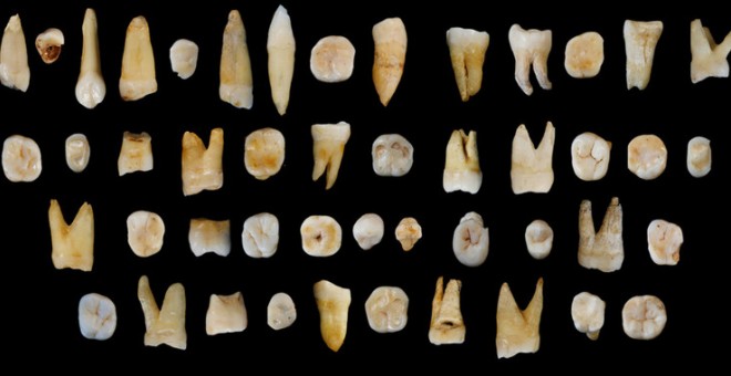 Los 47 dientes hallados en la Cueva de Fuyan (Daoxian, China). / S. Xing X-J. Wu