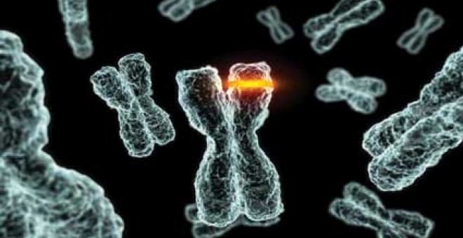 Científicos descubren que el ADN 'basura' determina la evolución del cáncer