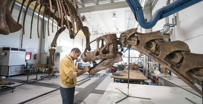 Un paleoartista trabaja en la replica de un dinosaurio que se esta realizando en la Fundación Conjunto Paleontológico de Teruel Dinópolis. EFE/Antonio Garcia