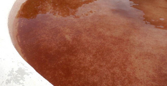 Las aguas del abrevadero de Fuente Encalada (Zamora) se tiñeron de rojo por la presencia del alga Haematococus pluvialis, traída por la lluvía. / Joaquín Pérez