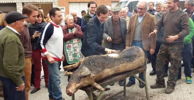 Críticas a Pablo Casado por participar en la matanza de un cerdo en Ávila