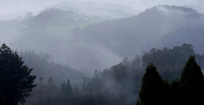 Imagen de uno de los bosques asturianos afectados por uno de los incendios que continúan activos. /EFE