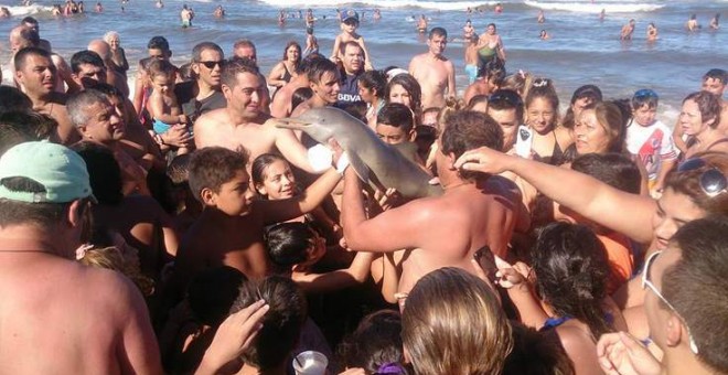 Una cría de delfín muere mientras un grupo de bañistas la pasa de mano en mano para hacerse selfies en la playa