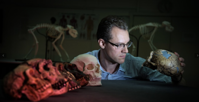 El biólogo evolutivo Alistair Evans, líder del estudio, examina una serie de moldes de cráneo de homínidos que se incluyeron en el trabajo / David Hocking