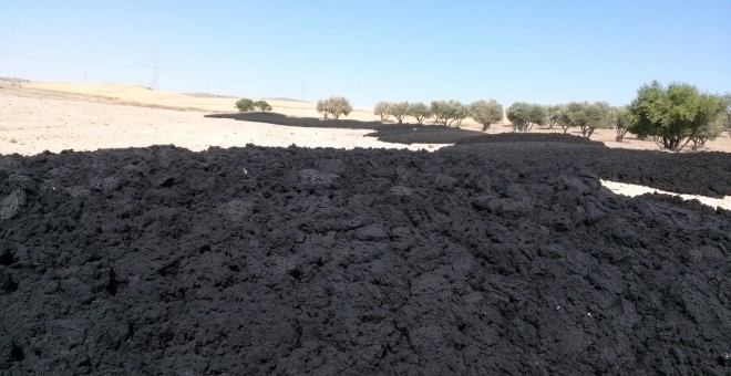 Vertidos de lodo sin tratar en una finca madrileña.- PÚBLICO