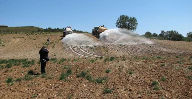 Unió de Pagesos ha vertido 4.000 litros de leche como acto de protesta contra la industria láctea en un campo baldío en una explotación de Alt Empordà.