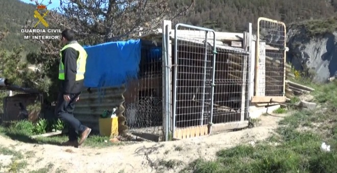 Algunas jaulas contaban con toldos para mantener a los animales a oscuras, algo que potencia su agresividad. GUARDIA CIVIL