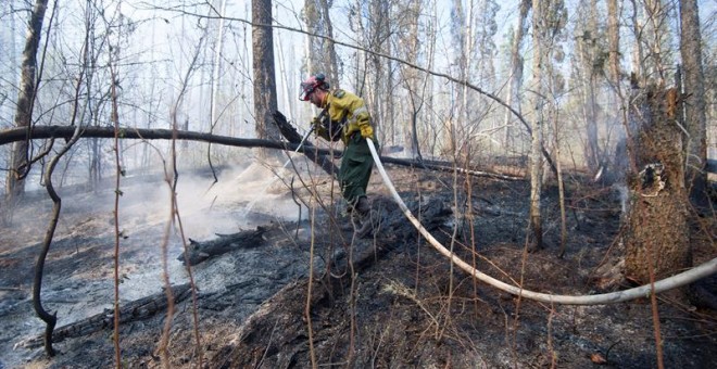 Un bombero trata de apagar los rescoldos del incendio en un bosque cercano a Fort McMurray. - EFE