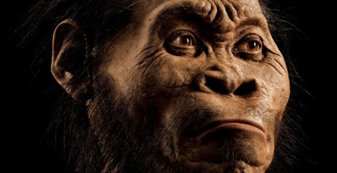 Reconstrucción de Homo naledi por el paleoartista John Gurche, que pasó más de 700 horas para recrear la cabeza a partir de los escáneres de los huesos. / Mark Thiessen/National Geographic