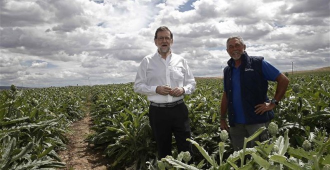 El presidente del Partido Popular y del Gobierno en funciones, Mariano Rajoy, durante la visita que ha realizado hoy a la finca de cultivo de alcachofas 'Castel Ruiz'. /EFE