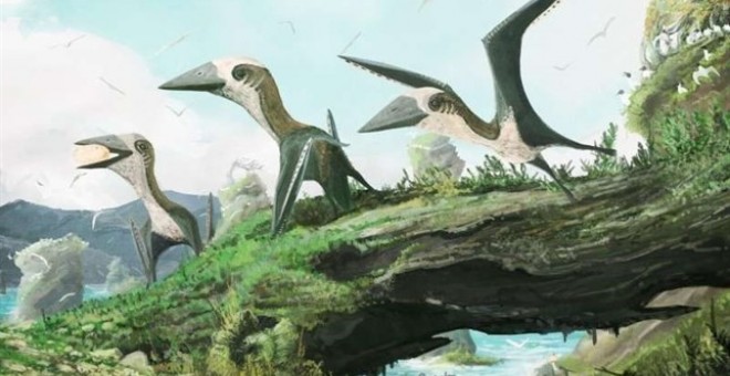 Descubierto un insólito reptil volador de hace 77 millones de años. Mark Witton