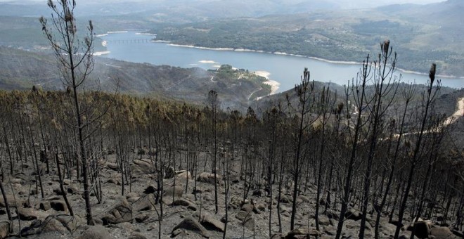 Superficie calcinada tras el incendio forestal de Entrimo (Ourense). EFE/BRAIS LORENZO