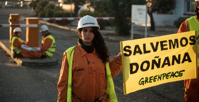 Una de las activistas de Greenpeace, durante la acción en Doñana. GREENPEACE