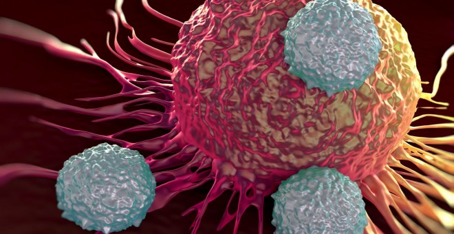 Representación microscópica de una célula cancerosa, atacada por linfocitos T. /LA JOLLA INSTITUTE FOR ALLERGY AND IMMUNOLOGY