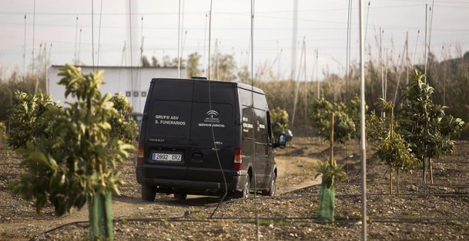 Una mujer y un hombre, fallecidos en un accidente de avioneta en Málaga. EFE