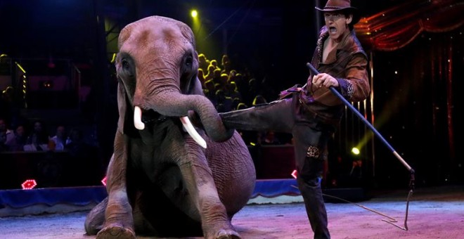 Un elefante en el Festival Internacional de Circo de Monte-Carlo celebrado en Mónaco. -EFE