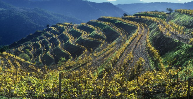 Paisatge del Priorat.