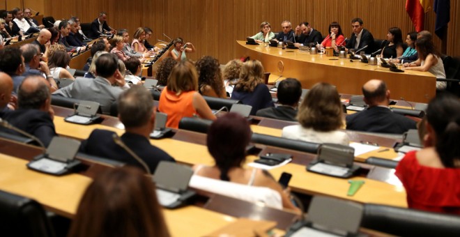 Reunión del nuevo secretario general del PSOE, Pedro Sánchez,con el grupo parlamentario socialista ,primera  tras su confirmación como líder socialista. EFE/Sergio Barrenechea