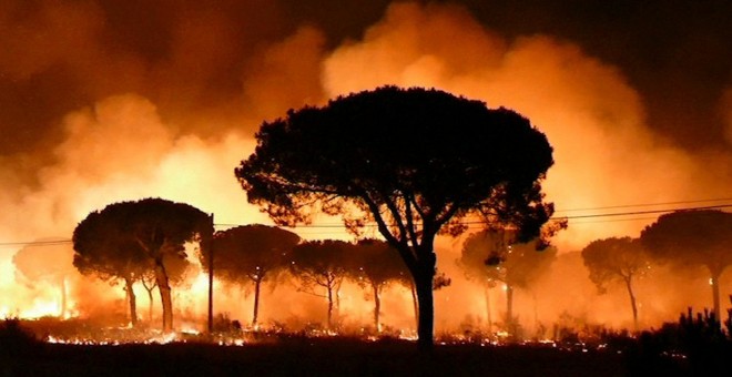 Incendio declarado en la noche del sábado en el paraje 'La Peñuela' de Moguer (Huelva) que ha entrado en el Espacio Natural de Doñana./EFE